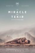   , The Miracle of Tekir