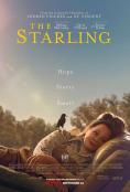 , The Starling - , ,  - Cinefish.bg