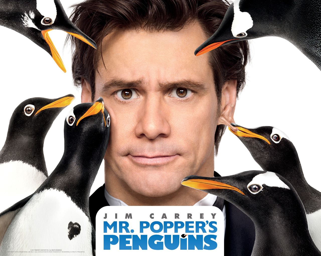 Mr Popper's Penguins.