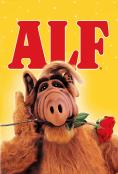 , ALF